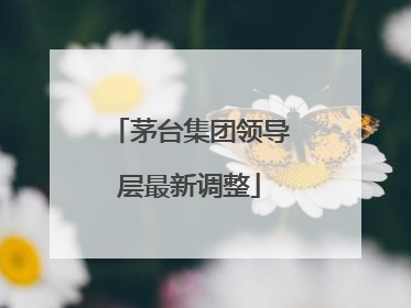 茅台集团领导层最新调整