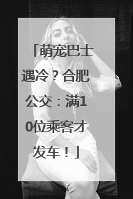 萌宠巴士遇冷？合肥公交：满10位乘客才发车！
