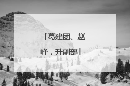 葛建团、赵峰，升副部