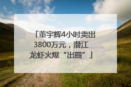 董宇辉4小时卖出3800万元，潜江龙虾火爆“出圈”