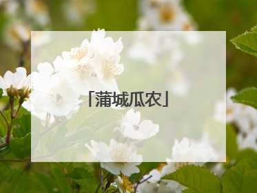 蒲城瓜农