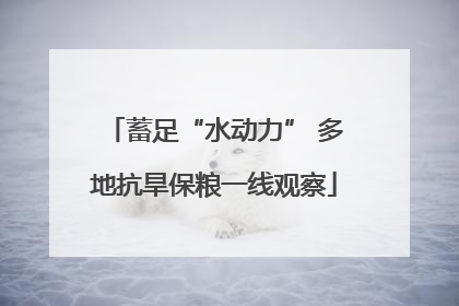 蓄足“水动力” 多地抗旱保粮一线观察