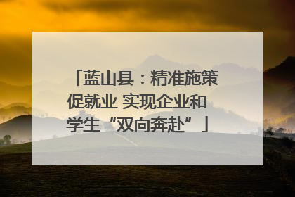 蓝山县：精准施策促就业 实现企业和学生“双向奔赴”