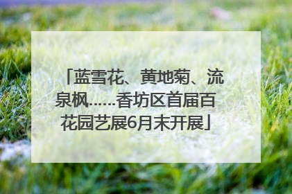 蓝雪花、黄地菊、流泉枫……香坊区首届百花园艺展6月末开展
