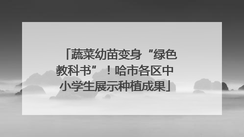 蔬菜幼苗变身“绿色教科书”！哈市各区中小学生展示种植成果