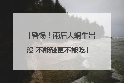 警惕！雨后大蜗牛出没 不能碰更不能吃