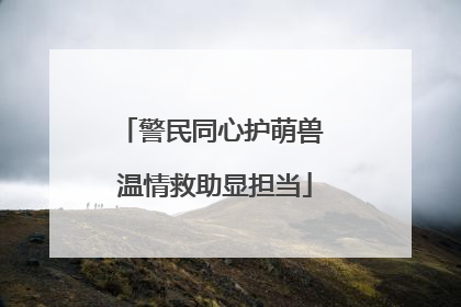 警民同心护萌兽 温情救助显担当