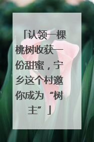 认领一棵桃树收获一份甜蜜，宁乡这个村邀你成为“树主”
