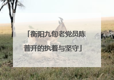 衡阳九旬老党员陈普开的执着与坚守