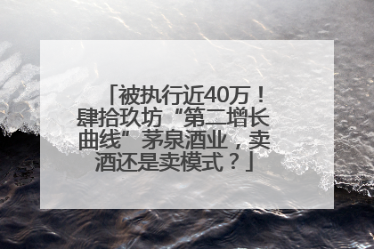 被执行近40万！肆拾玖坊“第二增长曲线”茅泉酒业，卖酒还是卖模式？