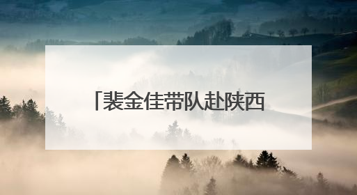 裴金佳带队赴陕西调研退役军人工作