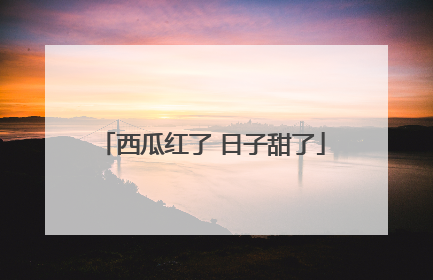 西瓜红了 日子甜了