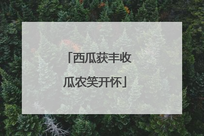西瓜获丰收 瓜农笑开怀