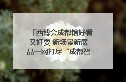 西博会成都馆好看又好耍 新场景新展品一网打尽“成都智造”｜西博视界