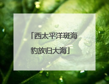 西太平洋斑海豹放归大海