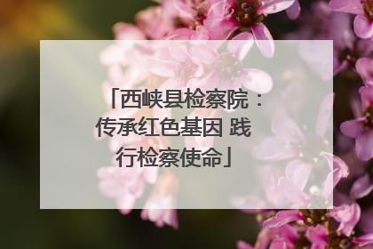 西峡县检察院：传承红色基因 践行检察使命
