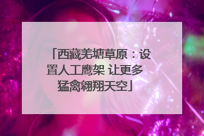 西藏羌塘草原：设置人工鹰架 让更多猛禽翱翔天空