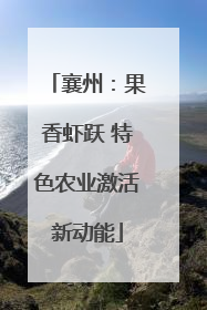 襄州：果香虾跃 特色农业激活新动能