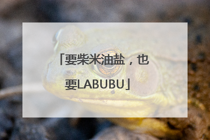 要柴米油盐，也要LABUBU