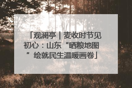 观澜亭｜麦收时节见初心：山东“晒粮地图”绘就民生温暖画卷