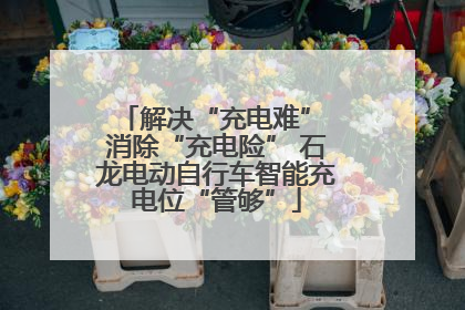 解决“充电难” 消除“充电险” 石龙电动自行车智能充电位“管够”