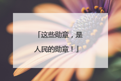 这些勋章，是人民的勋章！