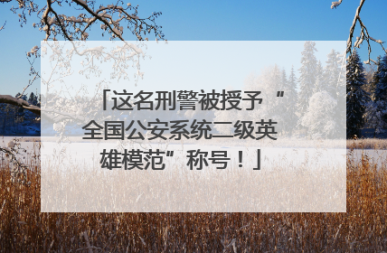 这名刑警被授予“全国公安系统二级英雄模范”称号！