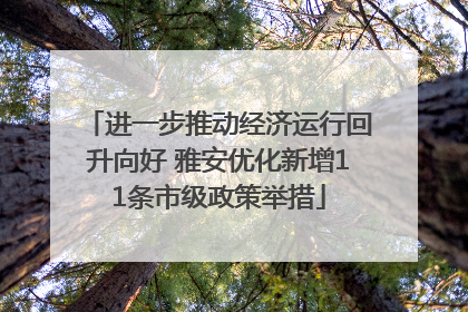 进一步推动经济运行回升向好 雅安优化新增11条市级政策举措