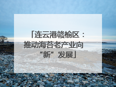 连云港赣榆区：推动海苔老产业向“新”发展