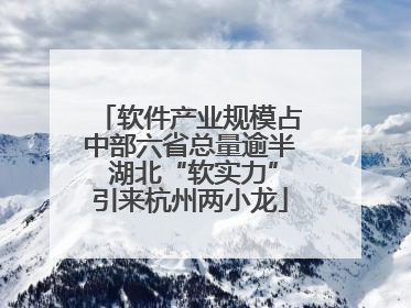 软件产业规模占中部六省总量逾半 湖北“软实力”引来杭州两小龙
