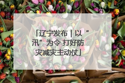 辽宁发布｜以“汛”为令 打好防灾减灾主动仗