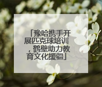 豫哈携手开展匹克球培训，鹤壁助力教育文化援疆