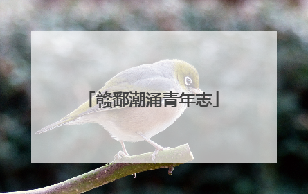赣鄱潮涌青年志