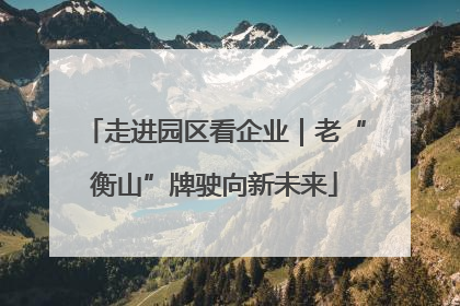 走进园区看企业｜老“衡山”牌驶向新未来