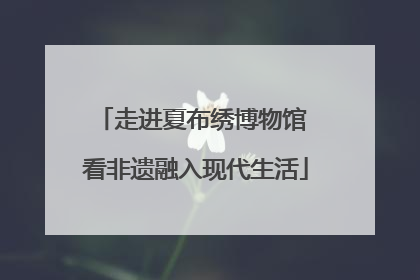走进夏布绣博物馆 看非遗融入现代生活