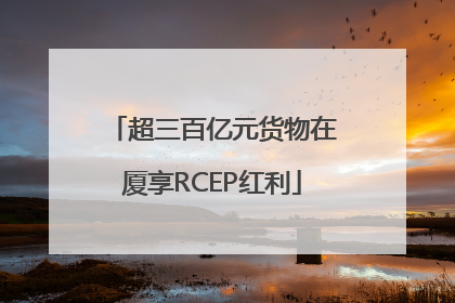 超三百亿元货物在厦享RCEP红利