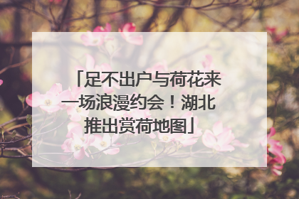 足不出户与荷花来一场浪漫约会！湖北推出赏荷地图