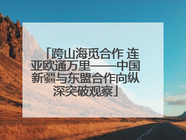 跨山海觅合作 连亚欧通万里——中国新疆与东盟合作向纵深突破观察