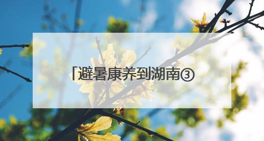 避暑康养到湖南③丨株洲：炎陵神农谷&茶陵花湖谷 夏日消暑好去处
