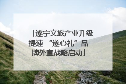 遂宁文旅产业升级提速 “遂心礼”品牌外宣战略启动
