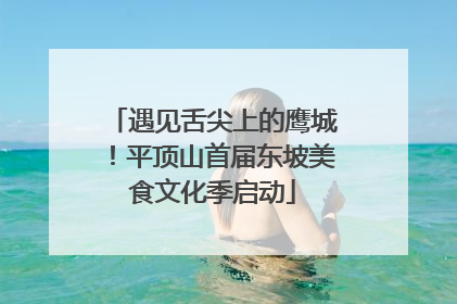 遇见舌尖上的鹰城！平顶山首届东坡美食文化季启动