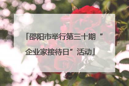 邵阳市举行第三十期“企业家接待日”活动