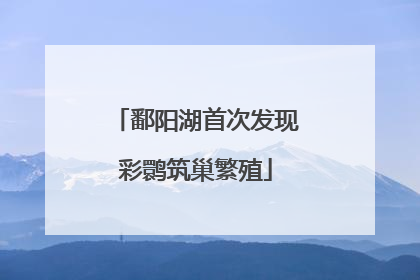 鄱阳湖首次发现彩鹮筑巢繁殖