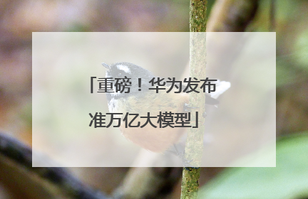 重磅！华为发布准万亿大模型