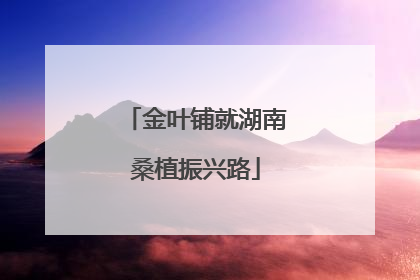 金叶铺就湖南桑植振兴路