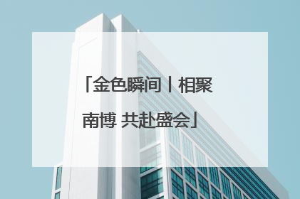 金色瞬间丨相聚南博 共赴盛会