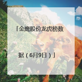 金鹰股份龙虎榜数据（6月9日）