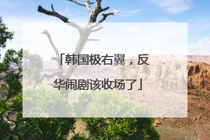 韩国极右翼，反华闹剧该收场了