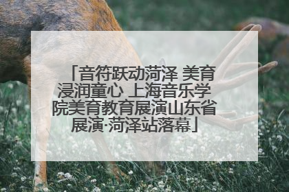 音符跃动菏泽 美育浸润童心 上海音乐学院美育教育展演山东省展演·菏泽站落幕