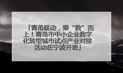 青甬联动，乘“数”而上！青岛市中小企业数字化转型城市试点产业对接活动在宁波开班
